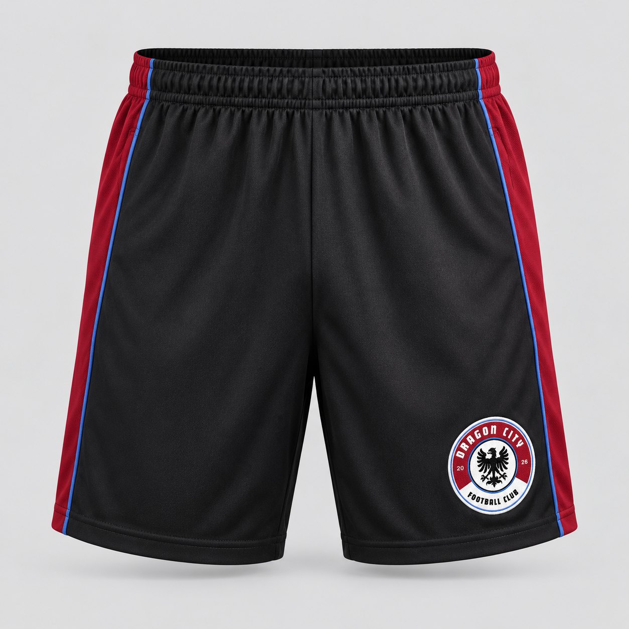 Dragon City FC Pro Training Shorts product image